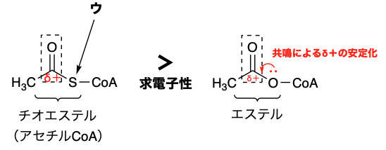 解説画像